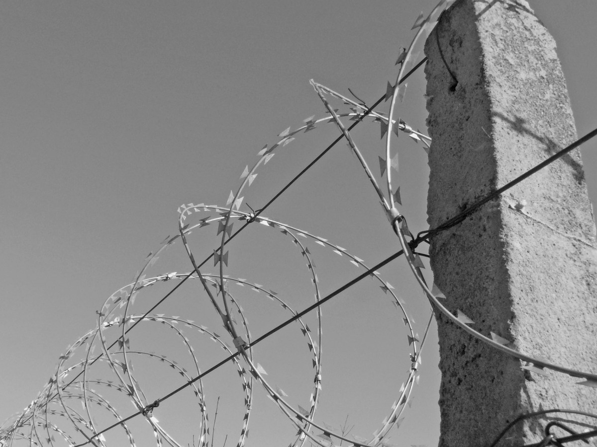 Yeni Nesil Girişimci Olmanın Önündeki&nbsp;Engeller